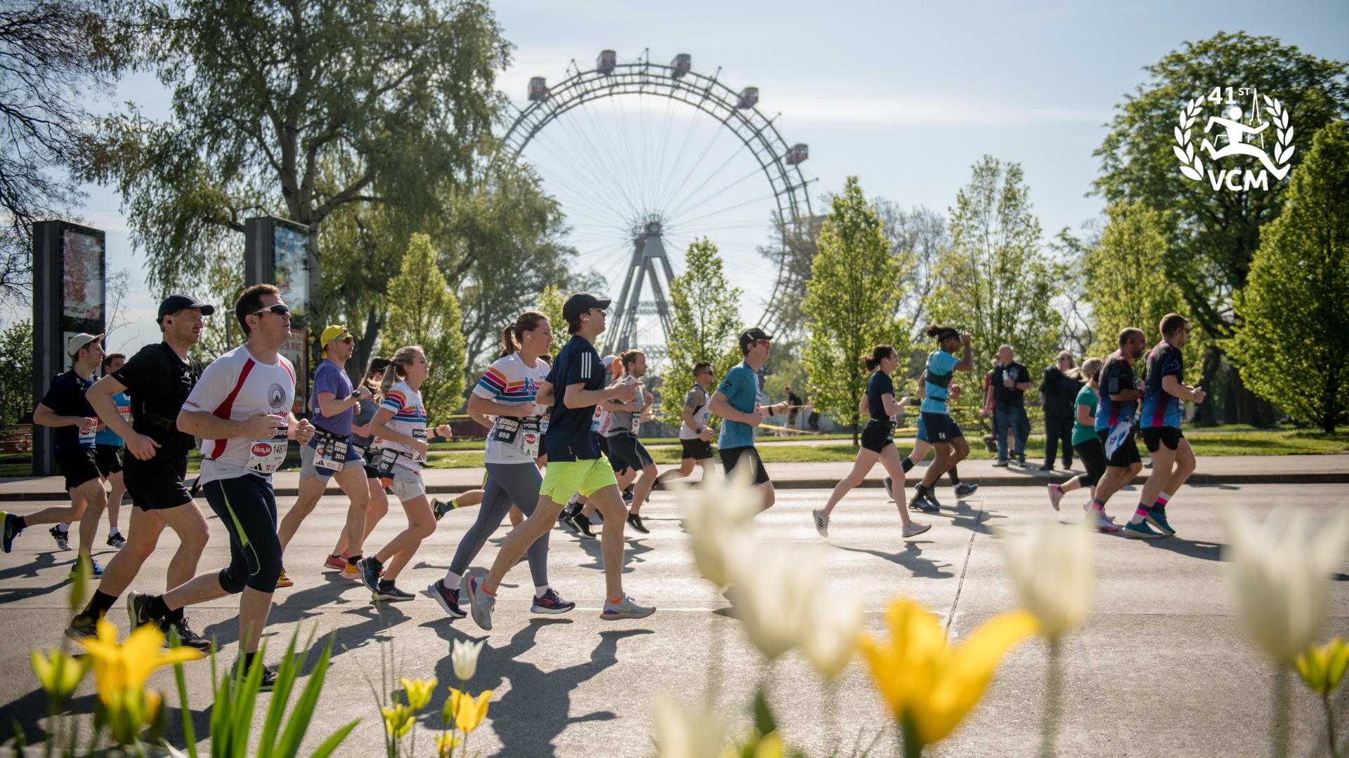 Vienna City Marathon 2024 | Aktywer